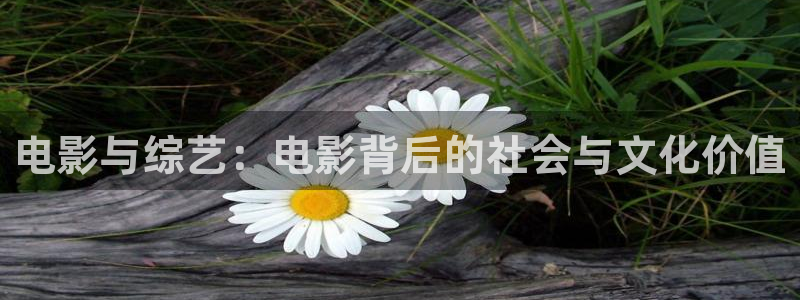 极速影院在线免费观看：电影与综艺：电影背后的社会与文化价值