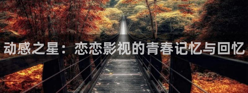 极速恋人2免费观看高清电视剧：动感之星：恋恋影视的青春记忆与回忆