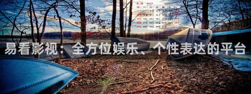 飞极速在线影院：易看影视：全方位娱乐、个性表达的平台
