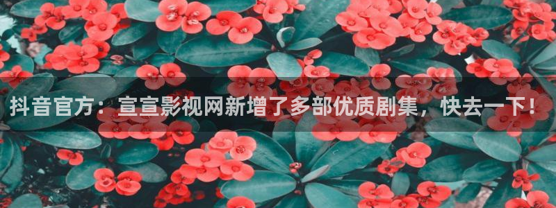 极速影院网：抖音官方：宣宣影视网新增了多部优质剧集，快去一下！