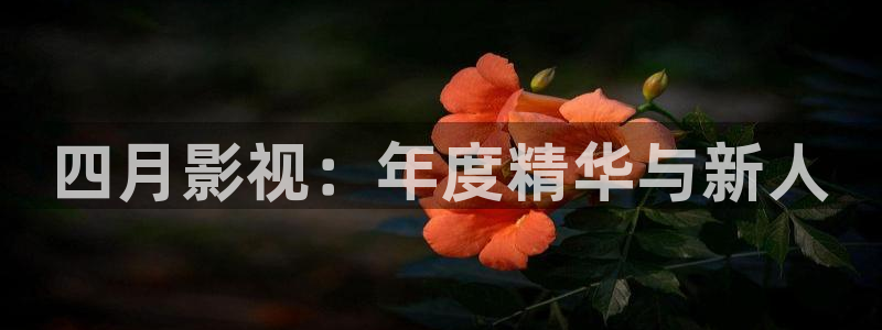 极速影院怎么下载：四月影视：年度精华与新人