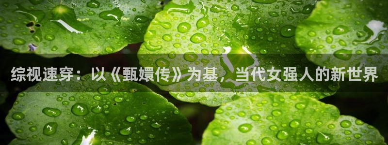 骑士影院在线观看免费高清电视剧极速：综视速穿：以《甄嬛传》为基，当代女强人的新世界