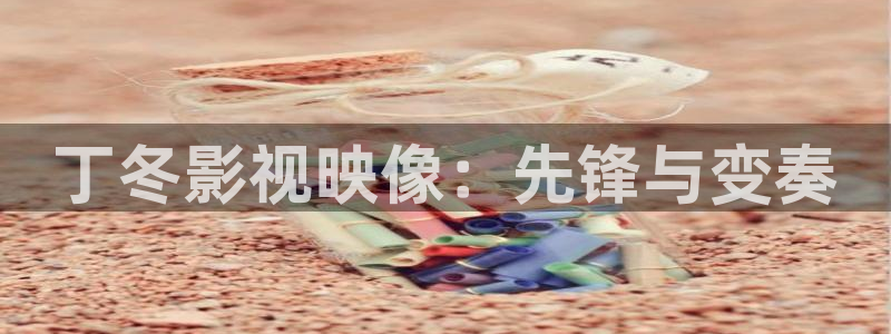 极速影院免费：丁冬影视映像：先锋与变奏