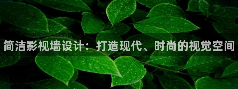 骑士影院在线观看免费高清电视剧极速：简洁影视墙设计：打造现代、时尚的视觉空间
