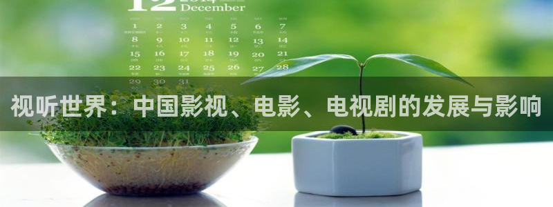 人人看极速影视：视听世界：中国影视、电影、电视剧的发展与影响