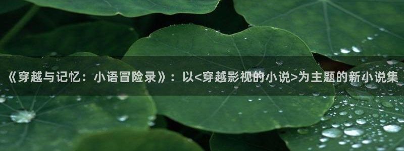 极速影院6080：《穿越与记忆：小语冒险录》：以<穿越影视的小说>为主题的新小说集