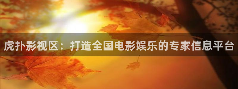 飘花极速影院：虎扑影视区：打造全国电影娱乐的专家信息平台